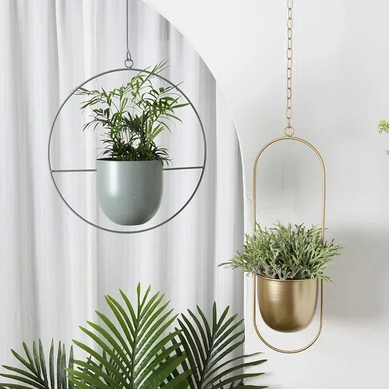 VERTILINE – Minimalist wall plant hanger with adjustable chain for a sleek, clear interior 3