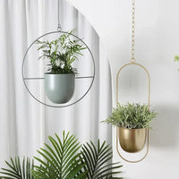 VERTILINE – Minimalist wall plant hanger with adjustable chain for a sleek, clear interior 3