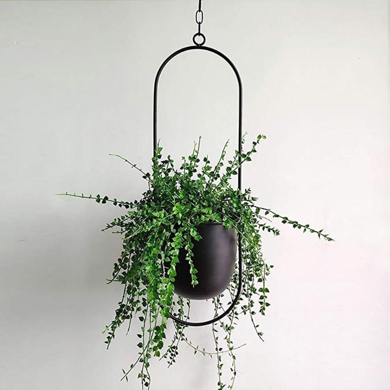 VERTILINE – Minimalist wall plant hanger with adjustable chain for a sleek, clear interior 4