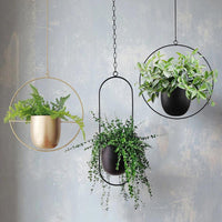 VERTILINE – Minimalist wall plant hanger with adjustable chain for a sleek, clear interior 5