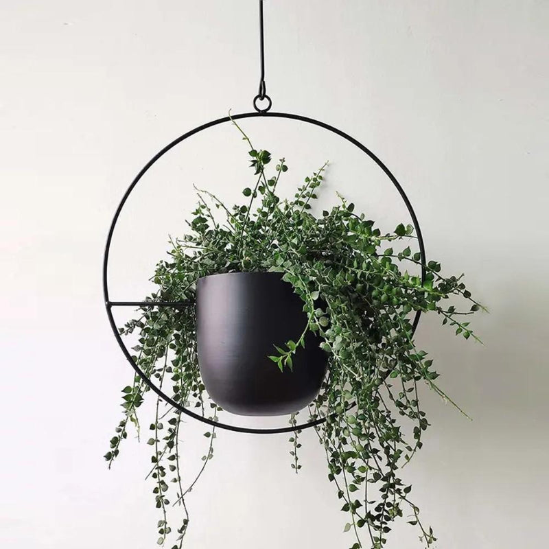 VERTILINE – Minimalist wall plant hanger with adjustable chain for a sleek, clear interior 6