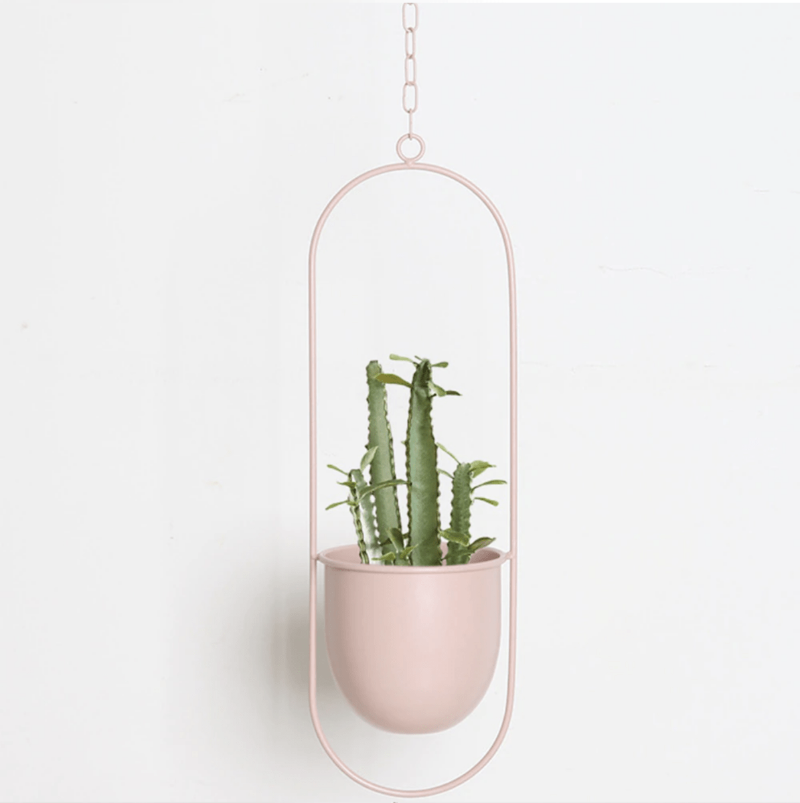 VERTILINE – Minimalist wall plant hanger with adjustable chain for a sleek, clear interior 7