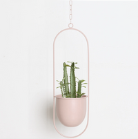 VERTILINE – Minimalist wall plant hanger with adjustable chain for a sleek, clear interior 7