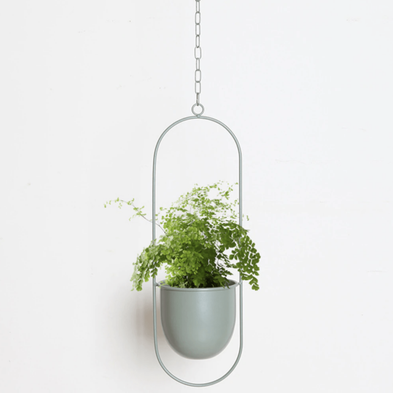 VERTILINE – Minimalist wall plant hanger with adjustable chain for a sleek, clear interior 8
