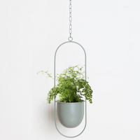 VERTILINE – Minimalist wall plant hanger with adjustable chain for a sleek, clear interior 8