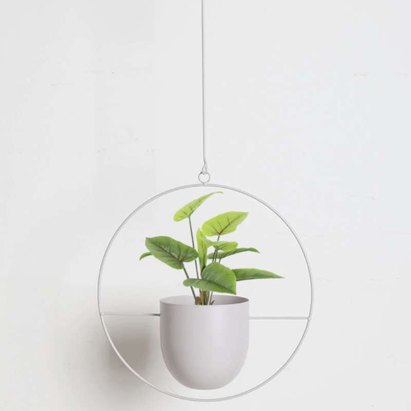 VERTILINE – Minimalist wall plant hanger with adjustable chain for a sleek, clear interior 9