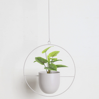 VERTILINE – Minimalist wall plant hanger with adjustable chain for a sleek, clear interior 9