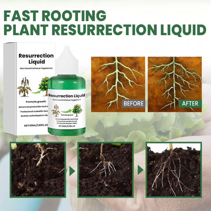 BOTANOVA – Plant Care Solution for Renewed Vitality and Fresh Growth
