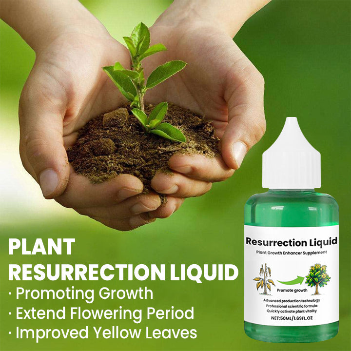 BOTANOVA – Plant Care Solution for Renewed Vitality and Fresh Growth