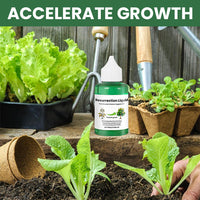 BOTANOVA – Plant Care Solution for Renewed Vitality and Fresh Growth