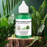 BOTANOVA – Plant Care Solution for Renewed Vitality and Fresh Growth