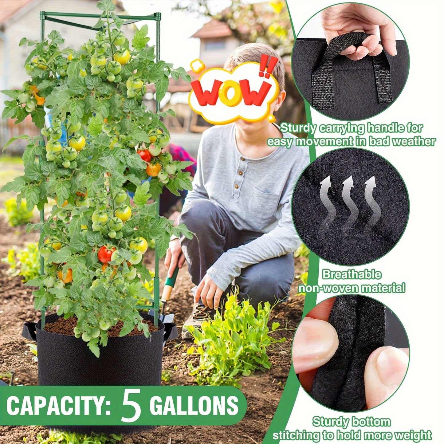 TOMABOX – Structured Tomato Growing & Large Capacity Support