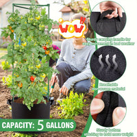 TOMABOX – Structured Tomato Growing & Large Capacity Support