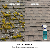 PUREROOF – Außenreinigungslösung für langanhaltende Dachpflege
