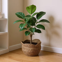 RATTANPOT – Handwoven Scandinavian Planter for Natural Boho Plant Decor