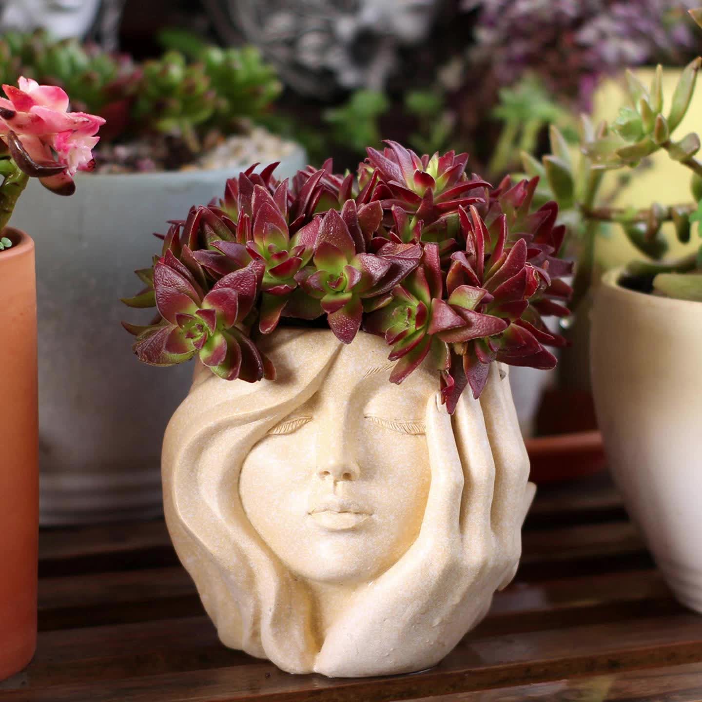 FACERPOT – Artistic Face Planter for Stylish Indoor & Outdoor Plant Display