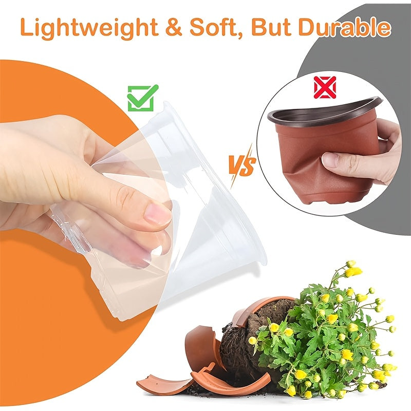 CLEARROOT SET – Transparent Nursery Pots for Easy Root Monitoring