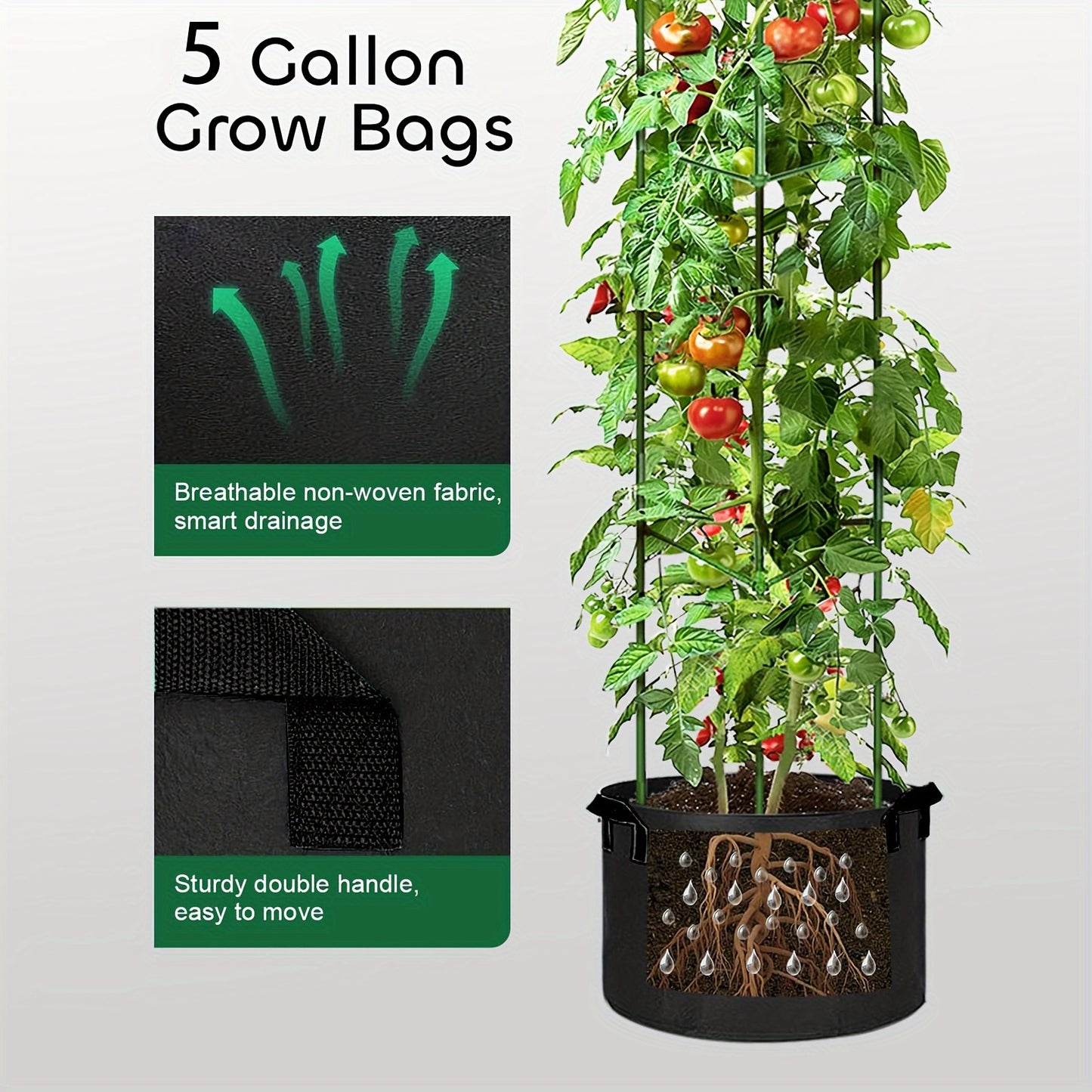 TOMABOX – Structured Tomato Growing & Large Capacity Support