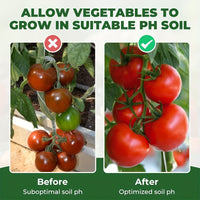SOILCHECK – 100 Soil pH Test Strips for Accurate Garden & Lawn Care