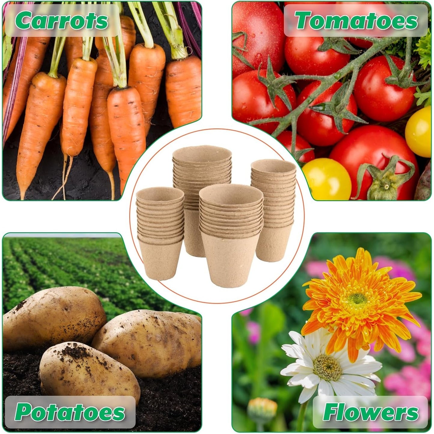 ECOPEAT POTS – Biodegradable Seed Starter Pots for Easy Transplanting