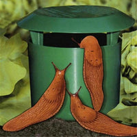 SNAILSAFE – Non-Toxic Garden Snail & Slug Trap