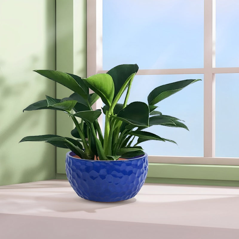 COBALTHAVEN – Vintage Handmade Ceramic Planter Set