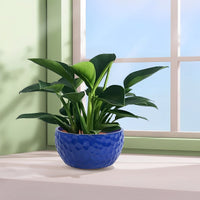 COBALTHAVEN – Vintage Handmade Ceramic Planter Set