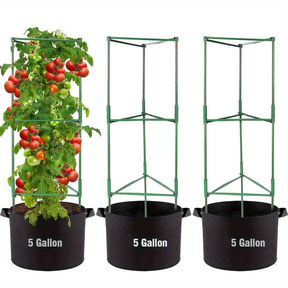 TOMABOX – Structured Tomato Growing & Large Capacity Support