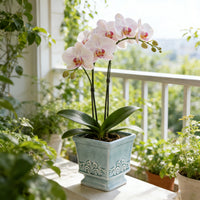 CERABOX – Vintage Ceramic Planter for Elegant Indoor Plant Display