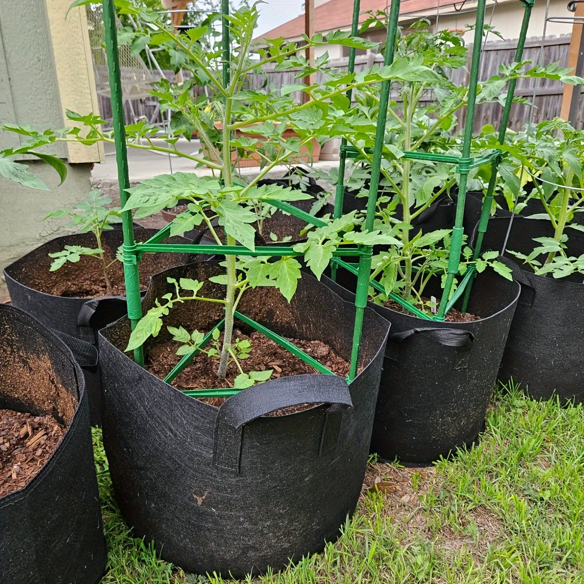 TOMABOX – Structured Tomato Growing & Large Capacity Support