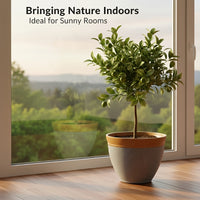 ROOTVAULT POT – Reinforced Planter for Strong Plant Growth