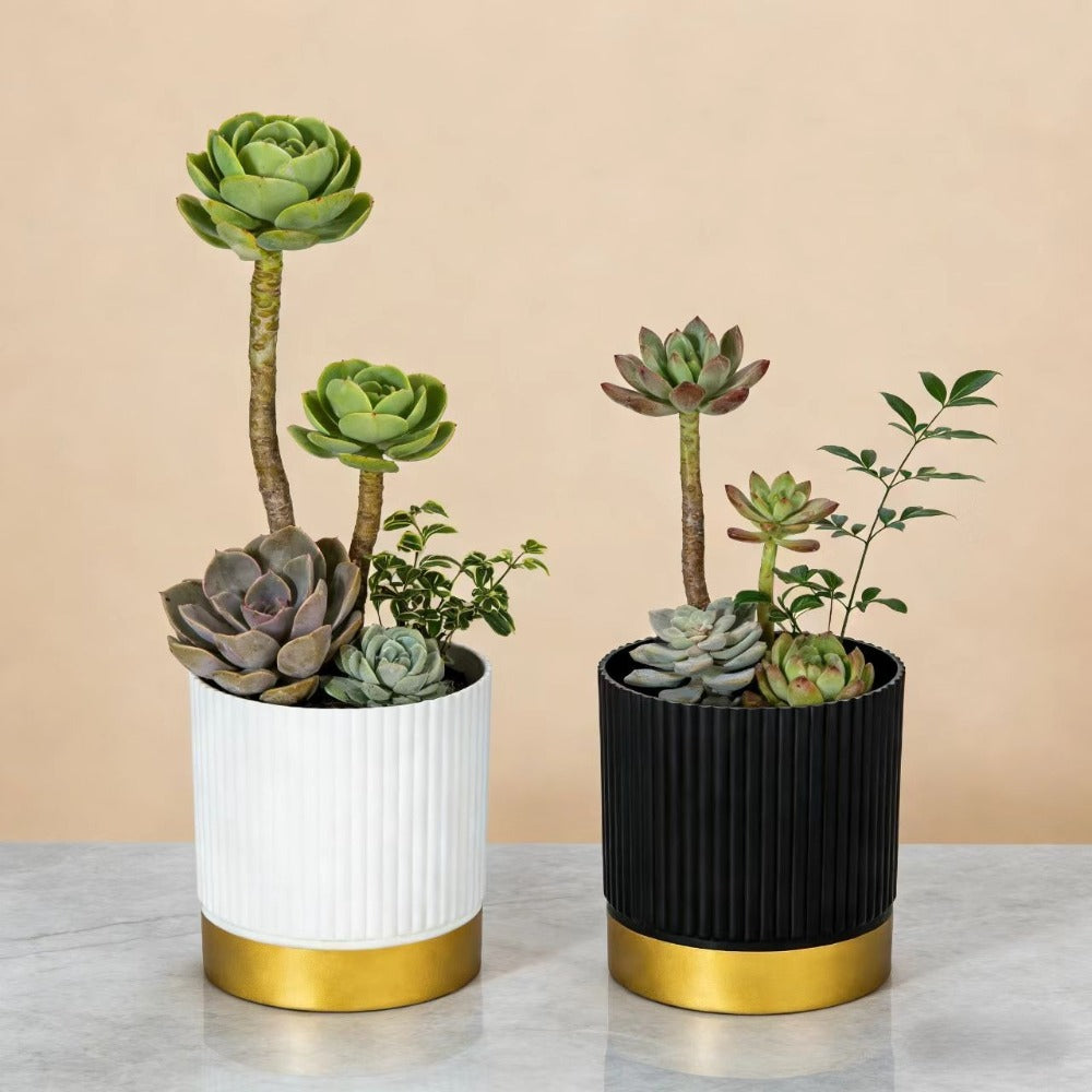NORDIPOT – Modern Striped Planter for Elegant Indoor Plant Display