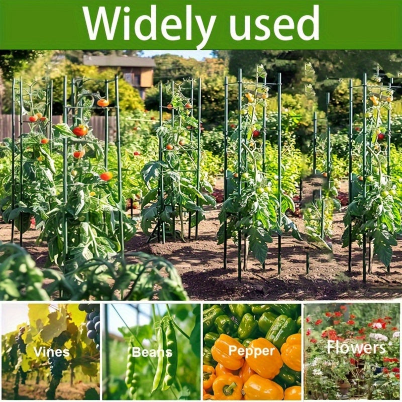 TOMABOX – Structured Tomato Growing & Large Capacity Support