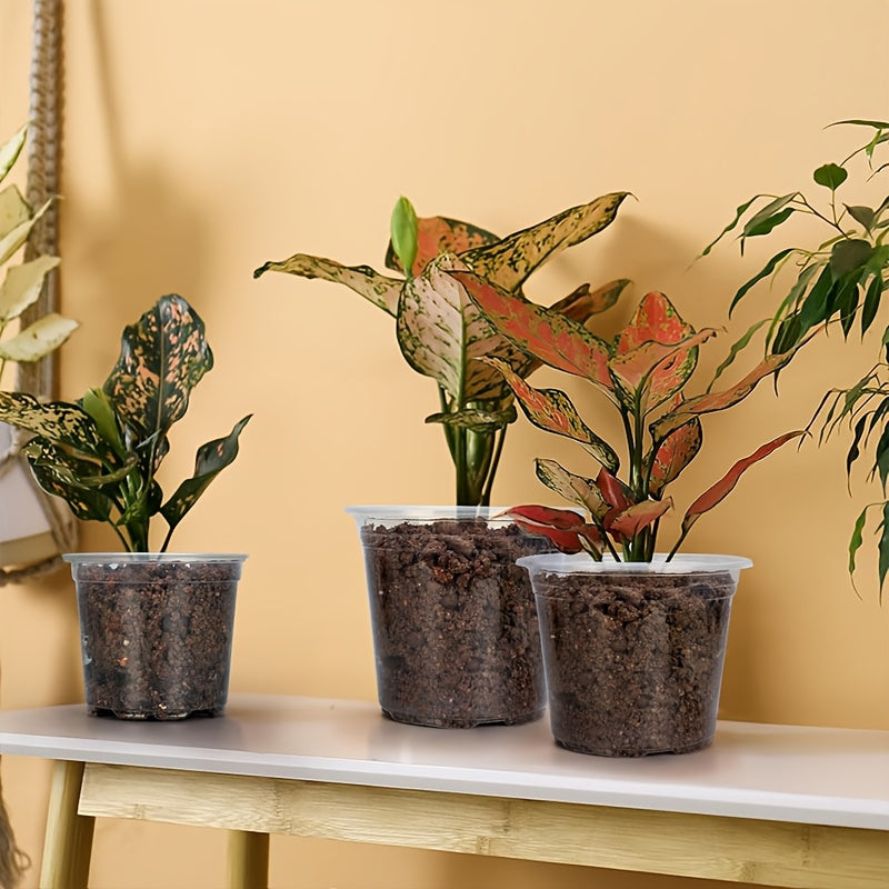 CLEARROOT SET – Transparent Nursery Pots for Easy Root Monitoring