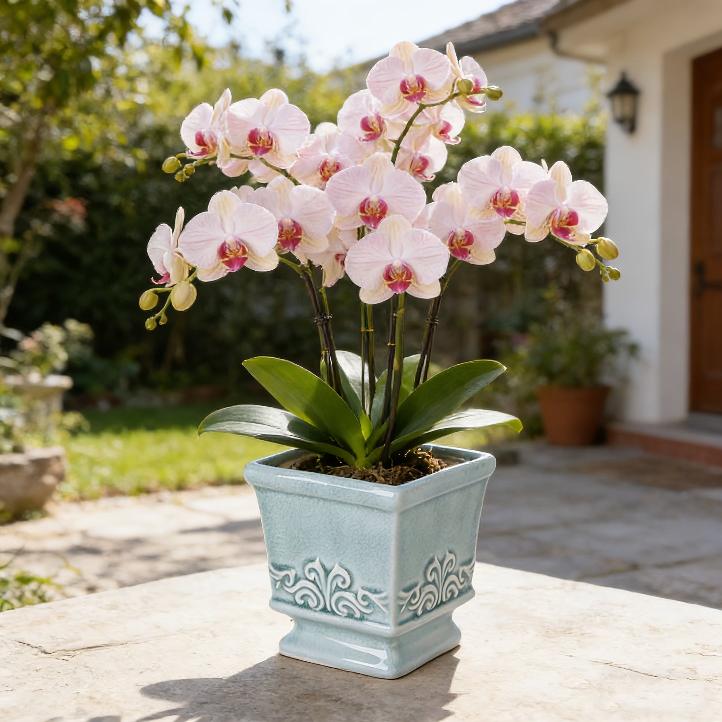 CERABOX – Vintage Ceramic Planter for Elegant Indoor Plant Display