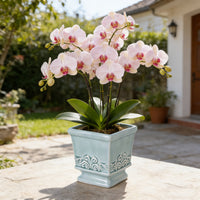 CERABOX – Vintage Ceramic Planter for Elegant Indoor Plant Display