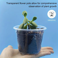 ROOTCLEAR SET – 20 Pack Transparent Nursery Pots for Easy Root Monitoring