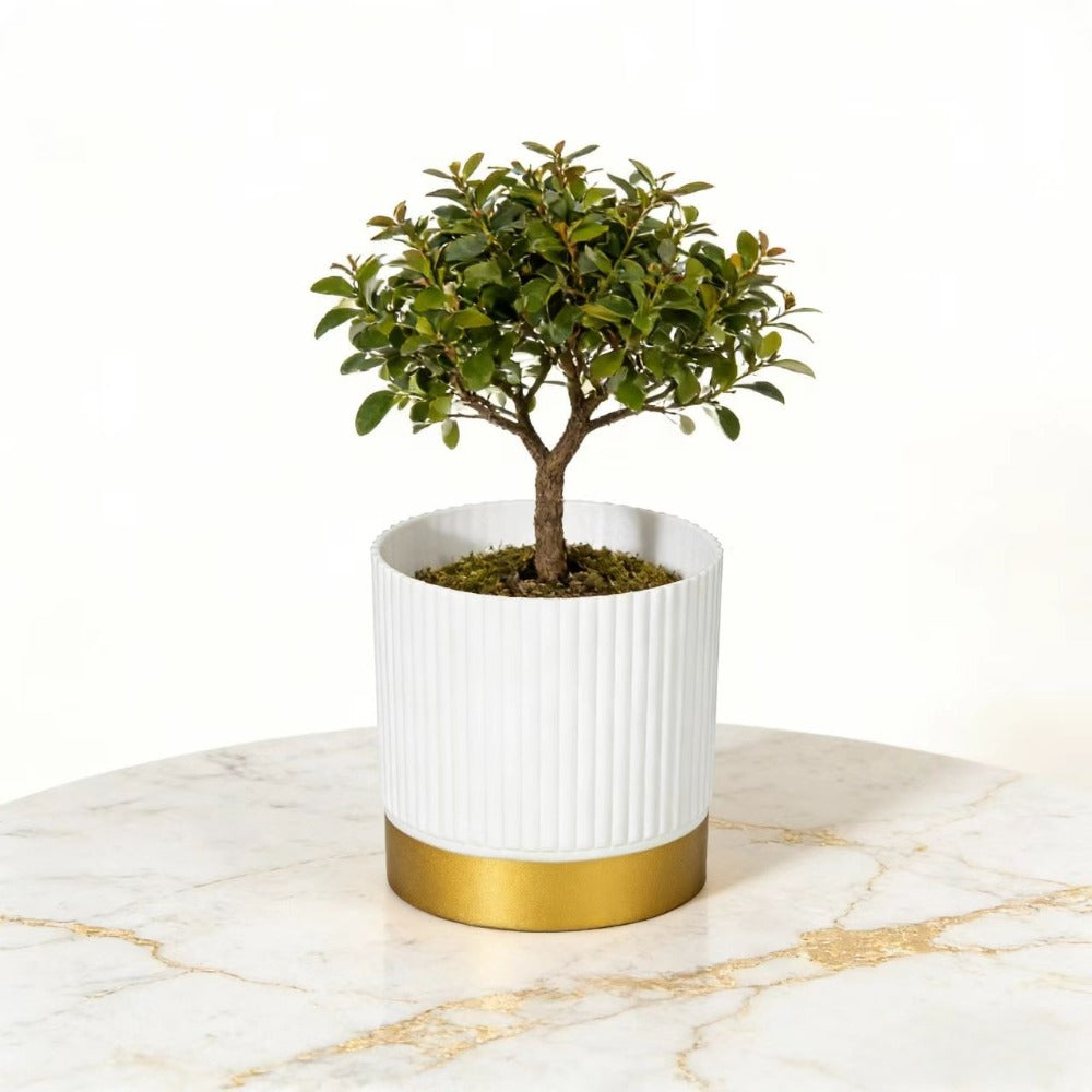 NORDIPOT – Modern Striped Planter for Elegant Indoor Plant Display