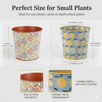 FLORALPOT – Decorative Metal Planter Set for Stylish Plant Display