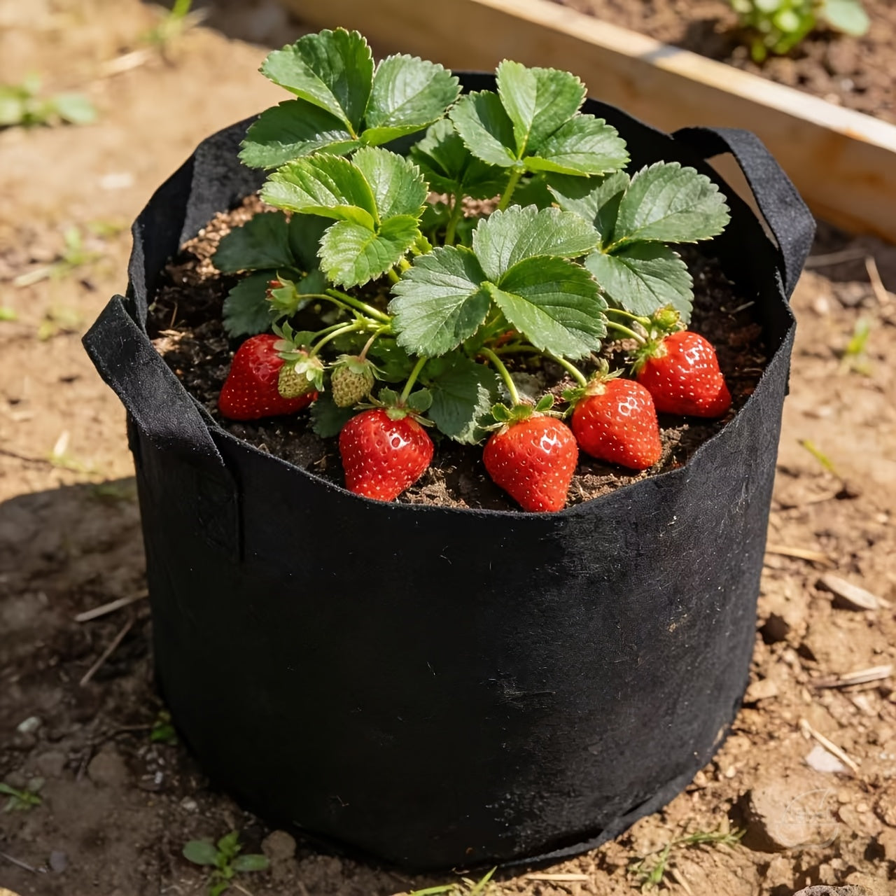 ROOTBAG – Breathable Fabric Grow Bag for Stronger Roots and Healthier Plants