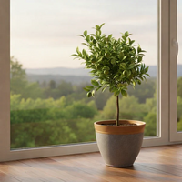 ROOTVAULT POT – Reinforced Planter for Strong Plant Growth