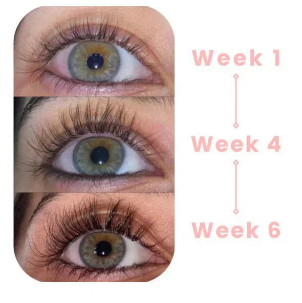 LASHORA – Wimpernpflegelösung für stärkere und gesünder aussehende Wimpern
