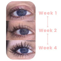 LASHORA – Wimpernpflegelösung für stärkere und gesünder aussehende Wimpern