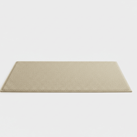 MATELITE – Geometric Absorbent Doormat for Contemporary Homes